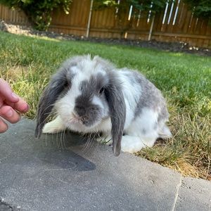 Meet your Posher, Hailey